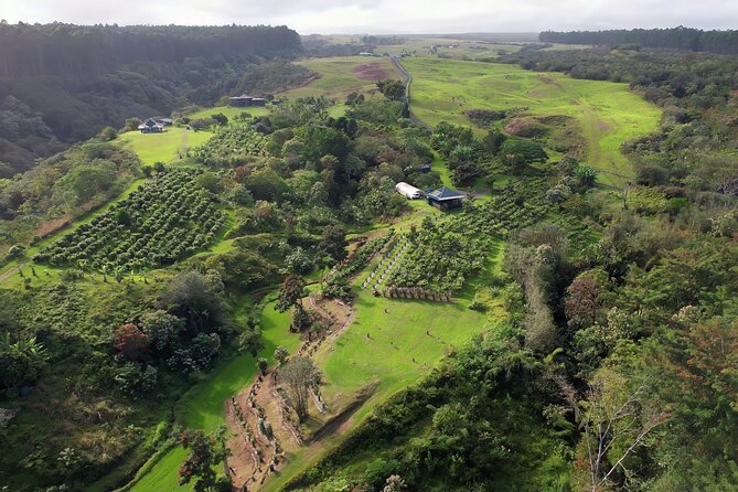 10 Bar Hawaiian Craft Chocolate Tasting Experience - Price and value: is $75 fair for 1.5 hours?