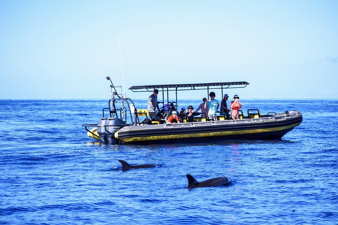 10 Passenger Max Customizable Private Charter - Key Things That Make This Kona Private Charter Worth Your Time