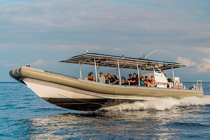 2.5-Hour Whale Watching On A 41' Super-Raft - Kailua-Kona Meet-Up and Boarding: Quick, Clear, and Practical