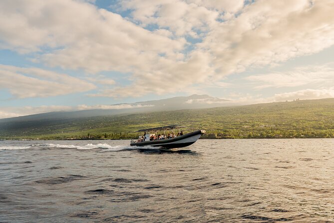 2.5-Hour Whale Watching On A 41' Super-Raft - The 41-Foot Super-Raft: What Speed Changes for Your Whale Sightings