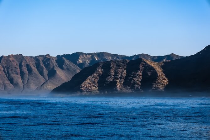 2 Hour Big Island Dolphin Watching and Sea Turtle Snorkel Tour - Price and value: what $88 covers in a 2-hour wildlife combo