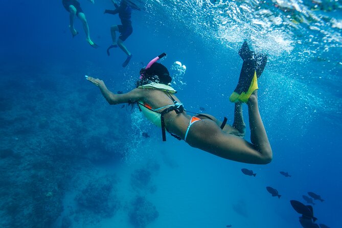 2 Hour Big Island Dolphin Watching and Sea Turtle Snorkel Tour - Group size and crew style: why this feels less chaotic than big boats