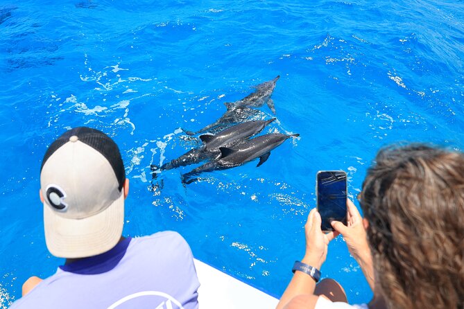 2 Hour Big Island Dolphin Watching and Sea Turtle Snorkel Tour - Kailua-Kona wildlife time: dolphins first, sea turtle chances second