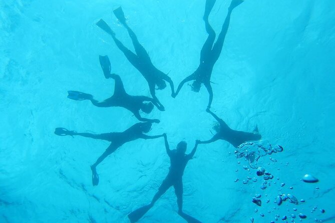 2-Hour Dolphin Watching and Double Reef with Snorkel in Hawaii - Before you go: weather checks and timing expectations