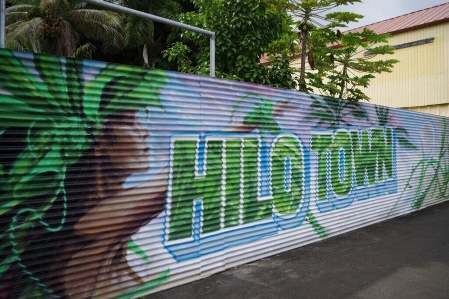 2-Hour Hilo Ghost Walks Tour - Pacific Tsunami Museum: where spirits meet real tragedy