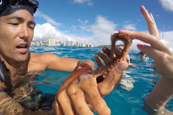 2-Hour Mauna Kea One Stop Sealife Snorkel Adventure - Hapuna Beach State Recreation Area: A Big-Name Coast Stop