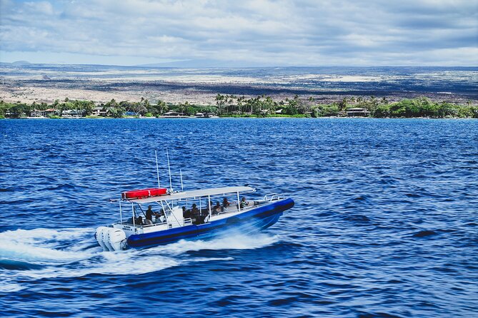 2-Hour Mauna Kea One Stop Sealife Snorkel Adventure - Kaunaoa Bay: Another Shot at Sea Life