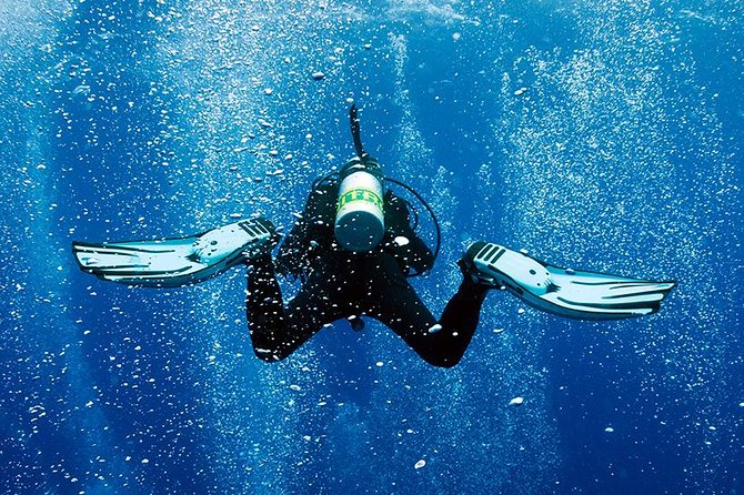 2 Tank Shore Dive at Sea Turtle Cove - Key highlights worth planning for