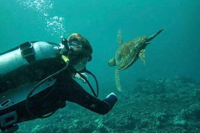 2 Tank Shore Dive at Sea Turtle Cove - Morning logistics at Hilo Ocean Adventures and Leleiwi Beach Park