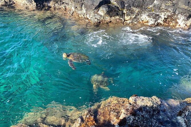 2 Tank Shore Dive at Sea Turtle Cove - Safety rules you must plan around after your underwater session