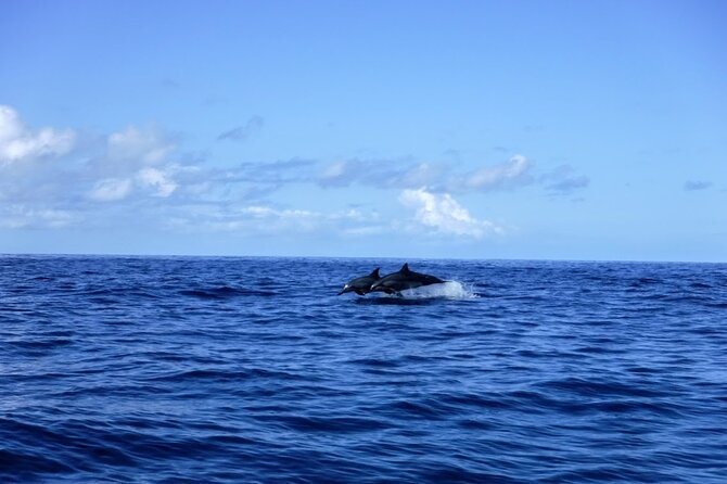 3.5 Hour Kailua-Kona Ocean Kayak and Snorkel Tour - What to Bring (So You Don’t Get Miserable at the End)