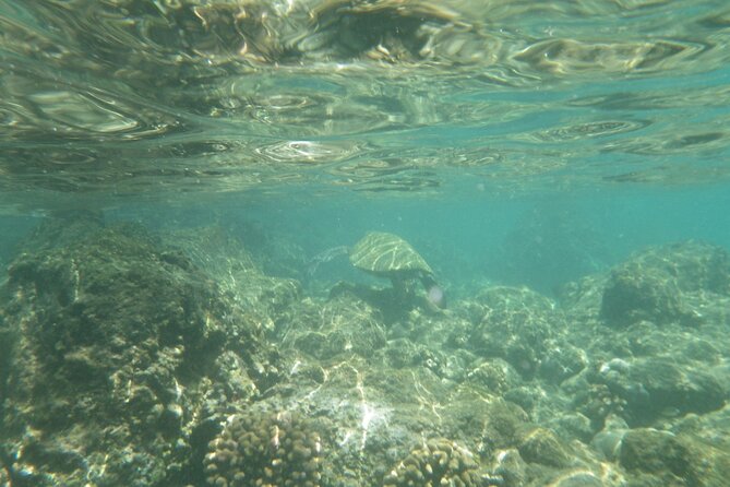 3.5 Hour Kailua-Kona Ocean Kayak and Snorkel Tour - Who This Tour Suits Best (And Who Might Want a Different Day)