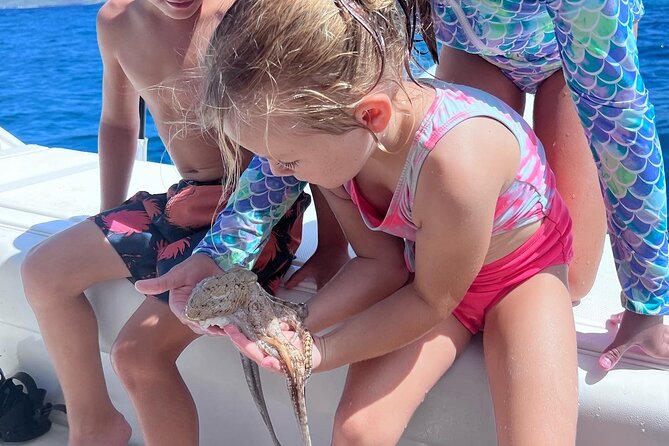 3-Hour Luxury Private Custom Charter - Fishing Charters for Ono: From Trolling to Take-Home Food