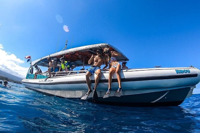 4 Hour Big Island Dolphin Watch Boat Tour, Snorkeling & BBQ Lunch - Timing and meeting point: what to do before you ever hit the water