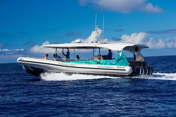 4 Hour Big Island Dolphin Watch Boat Tour, Snorkeling & BBQ Lunch - Stop 3: around the Island of Hawaii, plus lunch on a floating mat