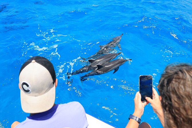 4 Hour Big Island Dolphin Watch Boat Tour, Snorkeling & BBQ Lunch - Dolphin sightings: how to set expectations without killing the magic