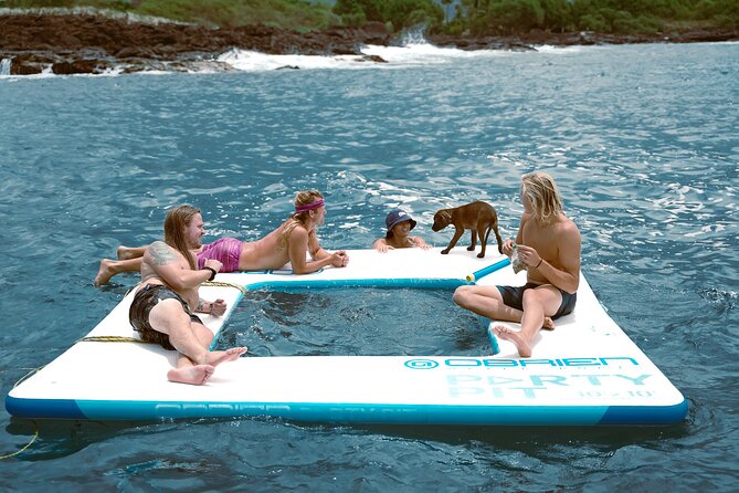 4 Hour Big Island Dolphin Watch Boat Tour, Snorkeling & BBQ Lunch - Stop 1: Garden Eel Cove / Manta Heaven and the wildlife-focused snorkeling plan