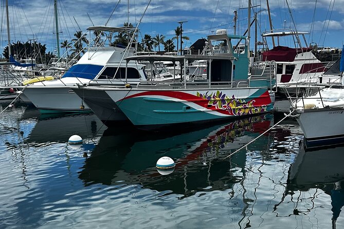 4-Hour Private Charter Adventures in Kona Coast - Snorkeling gear and onboard food that keep the day easy