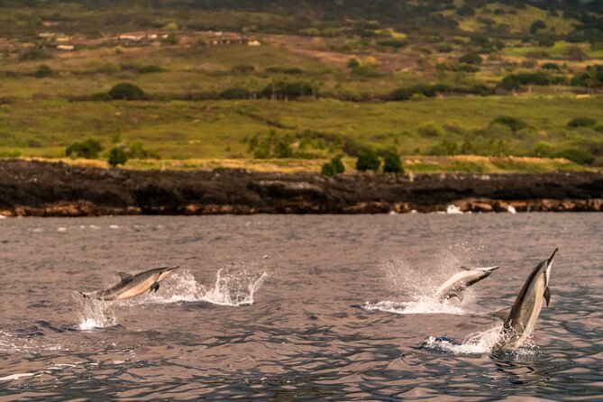 4 Hour Super-Raft Snorkeling Experience in Kailua-Kona - Super-Raft speed and morning timing in Kailua-Kona