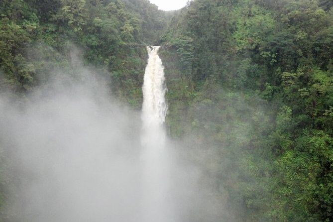5 Hour Custom Private Tour of Hawaii - Hotel and port pickup: the difference between a plan and a hassle