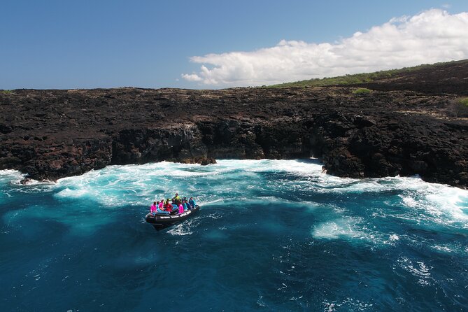 5-Hour Kona Private Boat Charter - Wildlife expectations: what you may see, and why the boat helps