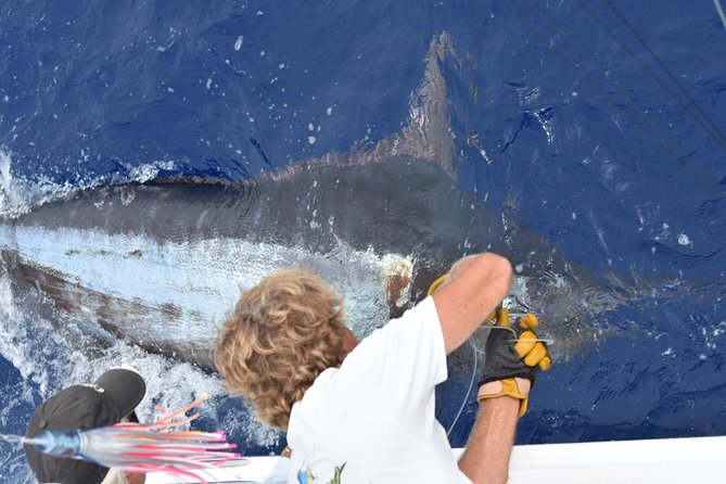 6 Hour Fishing Charter - Key Highlights You’ll Actually Care About