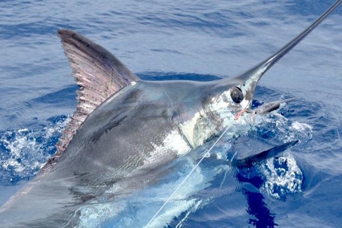 6 Hour Fishing Charter - Private Kona Charter: What a 6:30am Start Really Means