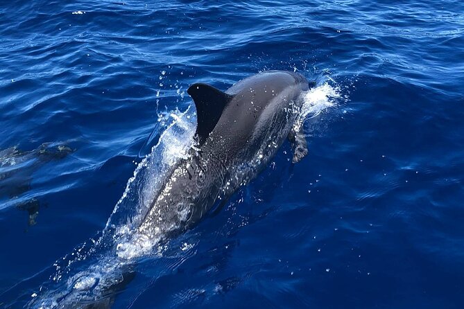 6 Hour Private Charter in Kona - Key highlights you’ll actually care about