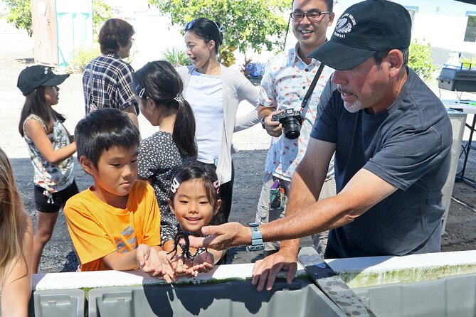 Abalone Farm Tour - After the tour: food truck add-on and live seafood options