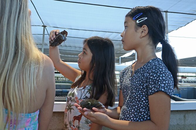 Abalone Farm Tour - Sustainable abalone farming on a tropical island