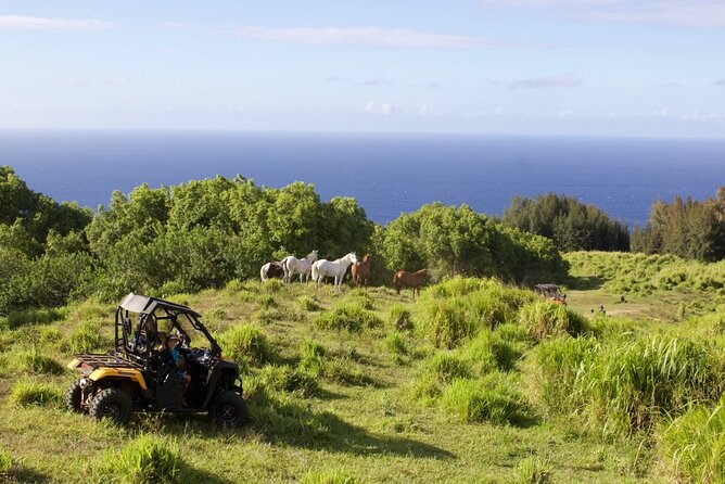 ATV Ranch ride Big Island Hawaii - Price and Value: How $169 Works for a Half-Day Adventure