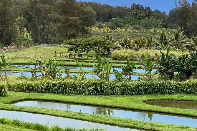 ATV Ranch ride Big Island Hawaii - Who This Tour Is Best For (and Who Might Skip It)