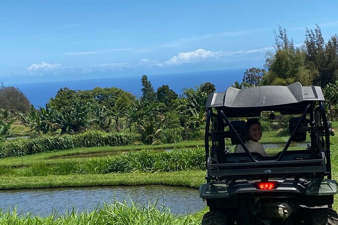 ATV Ranch ride Big Island Hawaii - What You Actually Do on This Side-by-Side ATV Tour