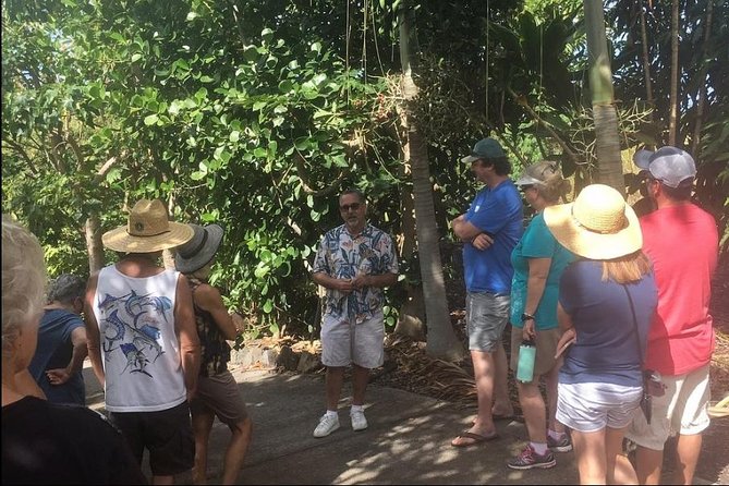 Award Winning Farm Tour: Coffee, Chocolate and Unique Gifts - Walking Through Coffee and Cacao: What You’ll Actually See