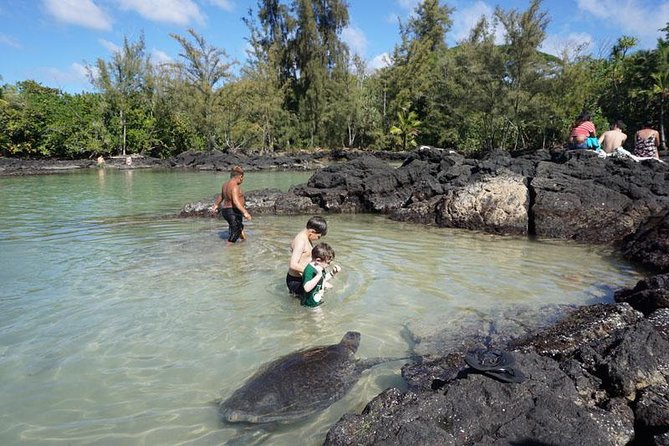 Beach Snorkel - Sea Turtle and Black Sand Lagoon - What each shore stop can feel like underwater