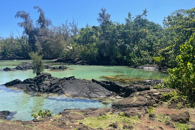 Beach Snorkel - Sea Turtle and Black Sand Lagoon - Tips for better odds of a great snorkel day