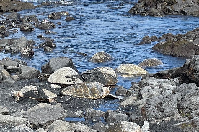 Best of Big Island: Volcanoes, Waterfall, Blacksand Beach & Lunch - Price and Value: What $185 Buys You (and What It Doesn’t)