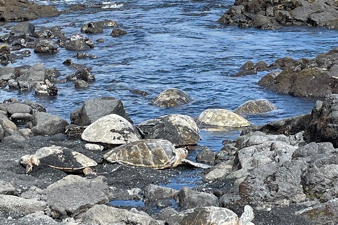 Best of Big Island: Volcanoes, Waterfall, Blacksand Beach & Lunch - Packing and Practical Tips That Actually Help