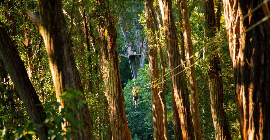 Big Island: 3-Hour Kohala Canopy Zipline Adventure - Breaks, Second Run Energy, and the Rappel Back Down