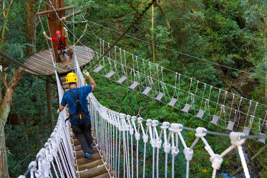 Big Island: 3-Hour Kohala Canopy Zipline Adventure - Why the Kohala Forest Reserve Feels Special (and Not Cookie-Cutter)