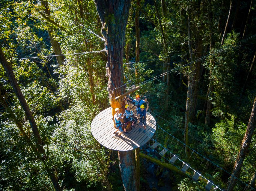 Big Island: 3-Hour Kohala Canopy Zipline Adventure - Gear and Weather: Rainwear, Closed-Toe Shoes, and Clothing Rules