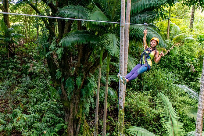 Big Island: 8-Zipline & Suspension Bridge Waterfall Adventure - Key takeaways before you zip
