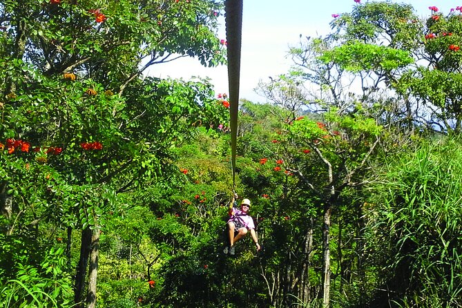 Big Island: 8-Zipline & Suspension Bridge Waterfall Adventure - Botanical World Adventures: where the zip course actually feels like Hawaii