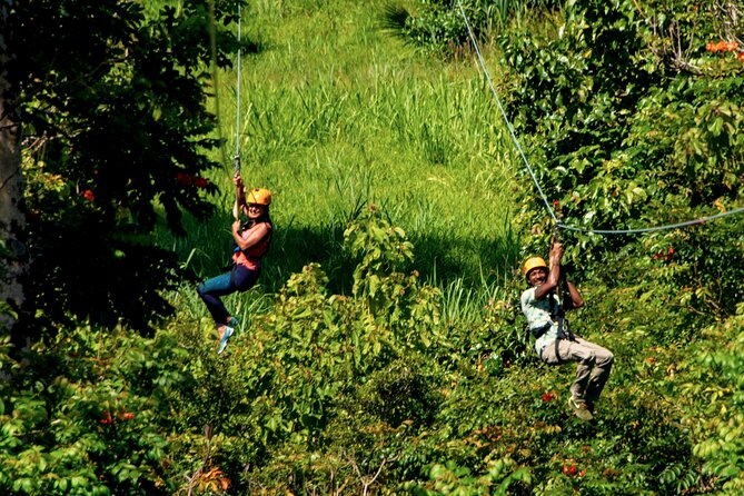 Big Island: 8-Zipline & Suspension Bridge Waterfall Adventure - After the harness: Botanical Gardens, trails, and the living maze