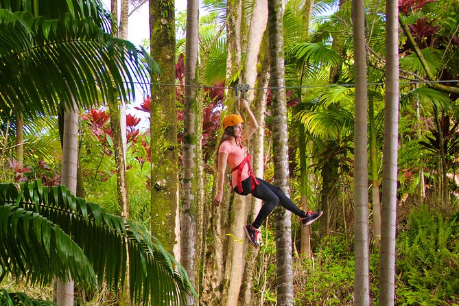 Big Island: 8-Zipline & Suspension Bridge Waterfall Adventure - Who should book this zip-and-falls combo