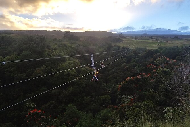 Big Island: 8-Zipline & Suspension Bridge Waterfall Adventure - The 8 ziplines: from first flight to half-mile speed