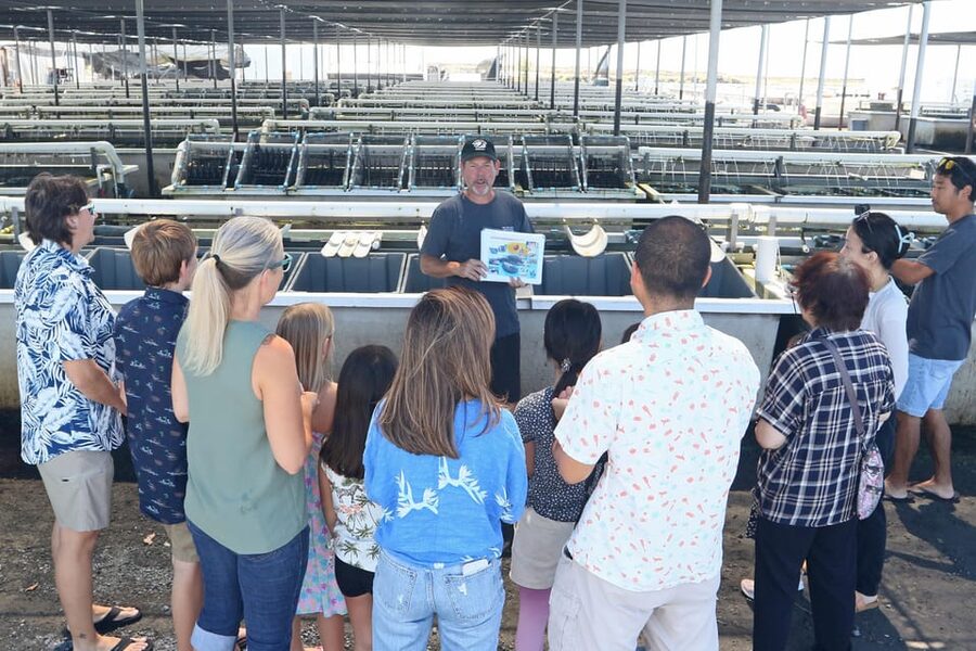 Big Island: Abalone Farm Guided Tour with Tasting - Getting to 73-357 Makako Bay Dr and finding the check-in