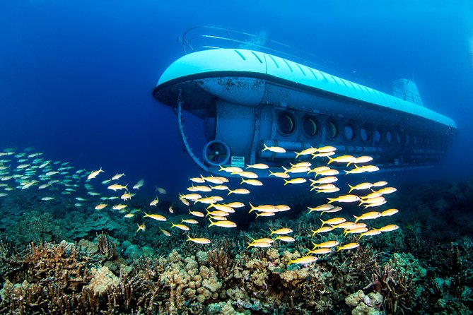 Big Island: Atlantis Submarine from Kona Beach - Why This Kona Submarine Is Worth Your Time