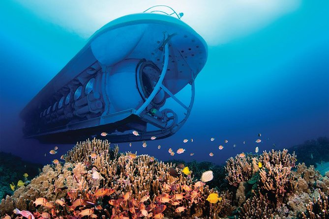 Big Island: Atlantis Submarine from Kona Beach - What the Submarine Route Feels Like: Smooth Ride, Real Safety