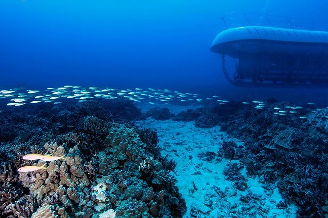 Big Island: Atlantis Submarine from Kona Beach - Comfort and Who This Tour Fits Best